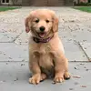 trudy Miller - @trudy.miller21 - TikTok
