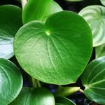 Trudi Milne - @truds70 - Instagram