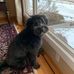 Trudy Milner - Facebook