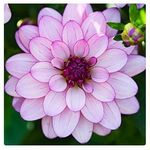Trudy Muller - @trudy1041999 - Instagram