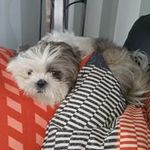 Trudy Mullers - @trudymullers - Instagram