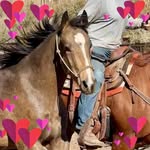 Trudy Lancaster Petersen - @trudy.l.petersen - Instagram