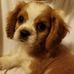 Trudy Pierce - Facebook