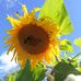 Trudy Reed - Facebook