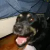 Trudy Reid - @trudy.reid - TikTok