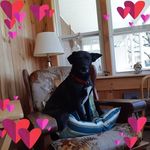 Trudy Reid - @gjhckifk - Instagram
