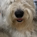Trudy Roberts - @buddeez_mom - Instagram