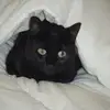 Trudy Roberts - @trudy.roberts1 - TikTok