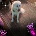 Trudy Robinson - Facebook