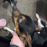 Trudy Robinson - @trudy.robinson.141 - Instagram