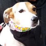 Trudy Robinson - @maude_jrt - Instagram