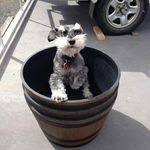 Trudy Rogers - @trudyrog36 - Instagram