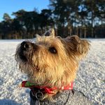 Trudy Russo - @trudyrusso8 - Instagram