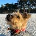 Trudy Russo - Facebook