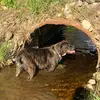 Trudy Ryan - @trudy.ryan74 - TikTok