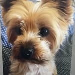 trudy schneider - @trucan5 - Instagram