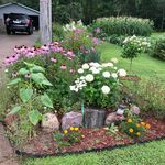 Trudy Schneider - @trudyschneider566 - Instagram