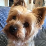 Trudy Schneider - Facebook