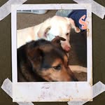 Trudi Shearin - @_grumpytude_ - Instagram