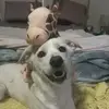 Trudy_Singh - @trudy_singh - TikTok