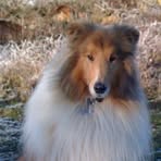 Trudy Skinner - Facebook