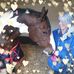 Trudy Wade - Facebook