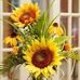 Trudy Wade - Facebook