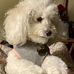 Trudy Wallace - Facebook