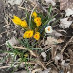 Trudy Wallace Burnside - @tjwburnside - Instagram