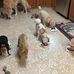 Trudy Waters - Facebook