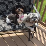Trudy Watson - @mzitsy - Instagram