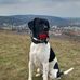 Trudy Watson - Facebook