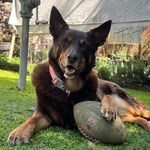 Trudy Watson - @lulu_the_super_girl - Instagram