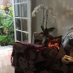 Trudy Watson - @trudy_watson_ - Instagram
