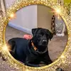 Trudie Webb837 - @trudiewebb837 - TikTok
