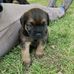 Trudy Webb - Facebook