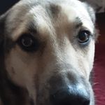 Trudi Weber - @trukimbo - Instagram