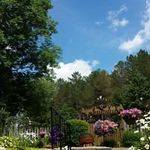Trudy Weber - @tngweber - Instagram