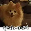 Trudy Welch - @trudy.welch - TikTok