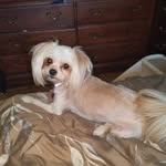 Trudy Welch - @welchtrudy - Instagram