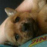 Trudy Wells - @tomasa06 - Instagram