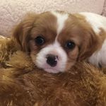 Trudy Wells - @wells_trudy - Instagram