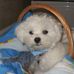 Trudy Wells - Facebook
