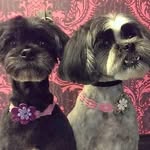 Trudy Farrell-Whitefield - @trudy.whitfield.39 - Instagram