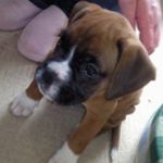 Trudie Wiggins-Eckley - @wigginseckley - Instagram