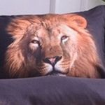 Trudy Wiggins - @trudyfashion1 - Instagram