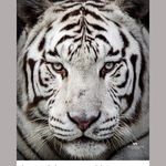 Trudy winter - @trudywinter01 - Instagram