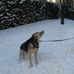 Trudy Wolf - Facebook