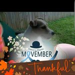 Trudy Wolfe - @trudy.wolfe - Instagram