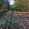 trudywolfhagen - @trudywolfhagen - TikTok